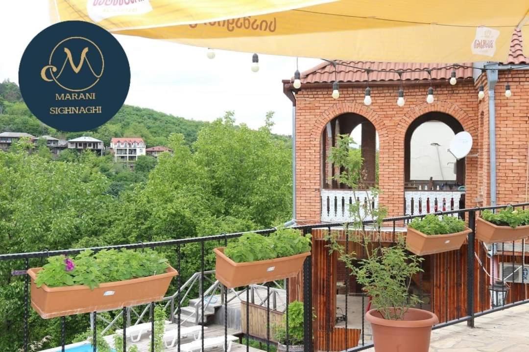 Guest House Marani Sighnaghi Exterior photo